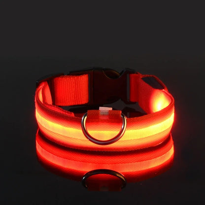 LED Nylon Dog Collar