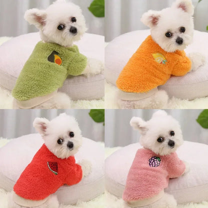 Warm Dog Hoodie for Small Dogs