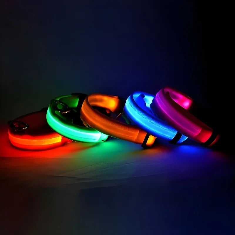 LED Nylon Dog Collar