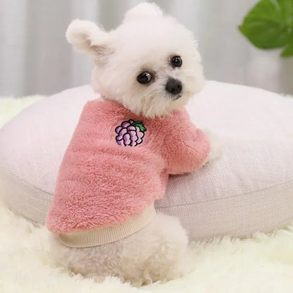 Warm Dog Hoodie for Small Dogs