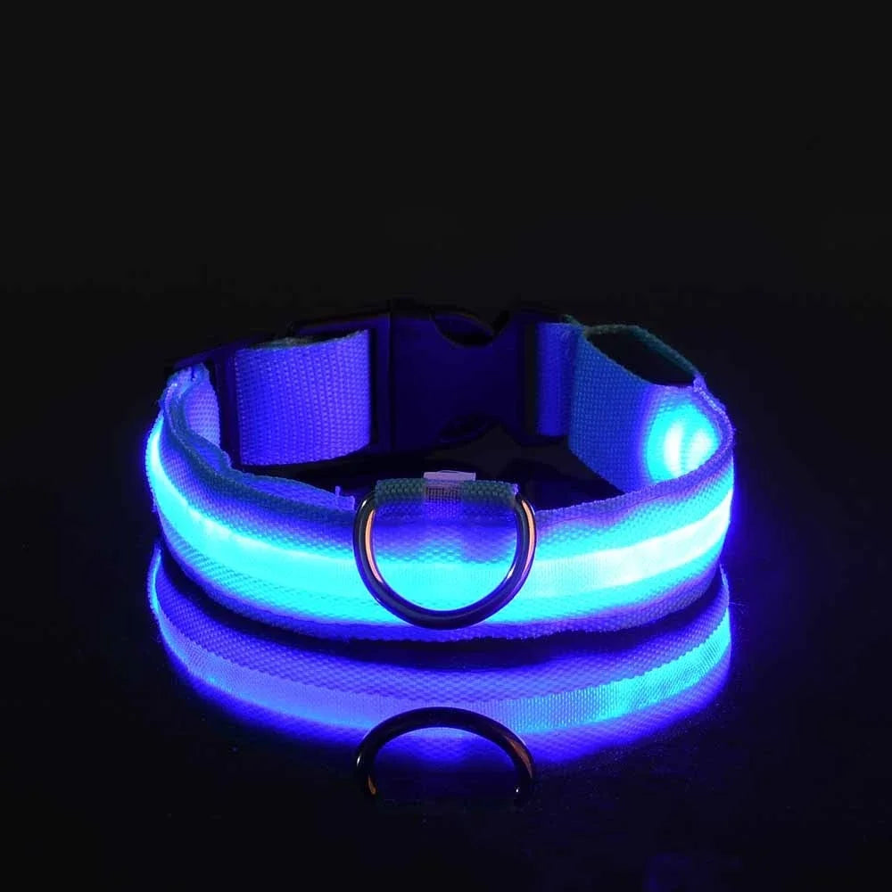 LED Nylon Dog Collar