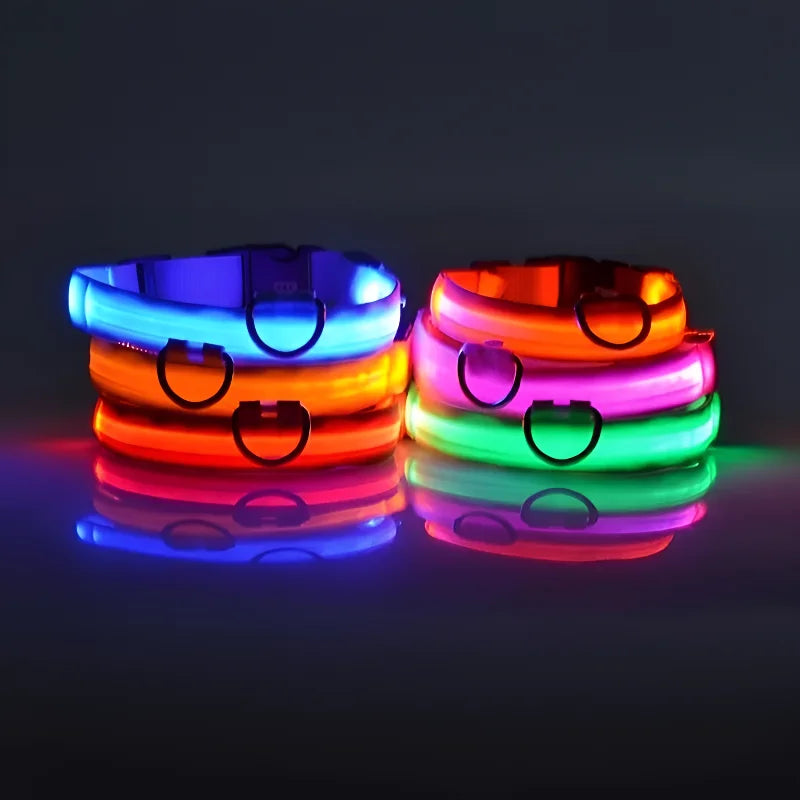 LED Nylon Dog Collar