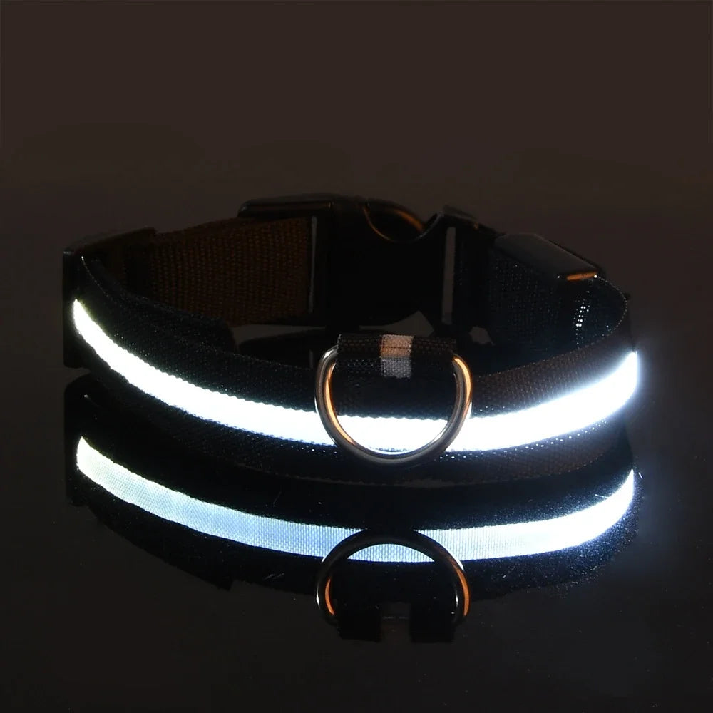 LED Nylon Dog Collar