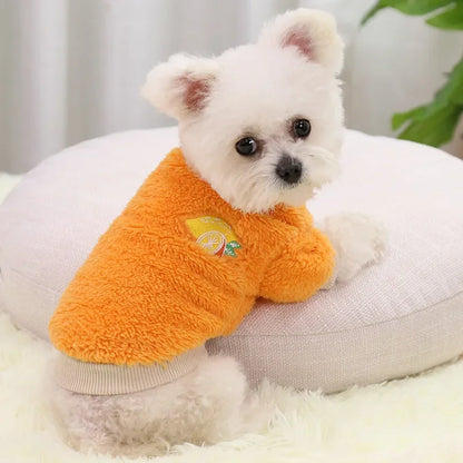 Warm Dog Hoodie for Small Dogs