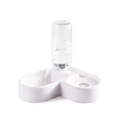 Double Pet Feeding Bowl Set