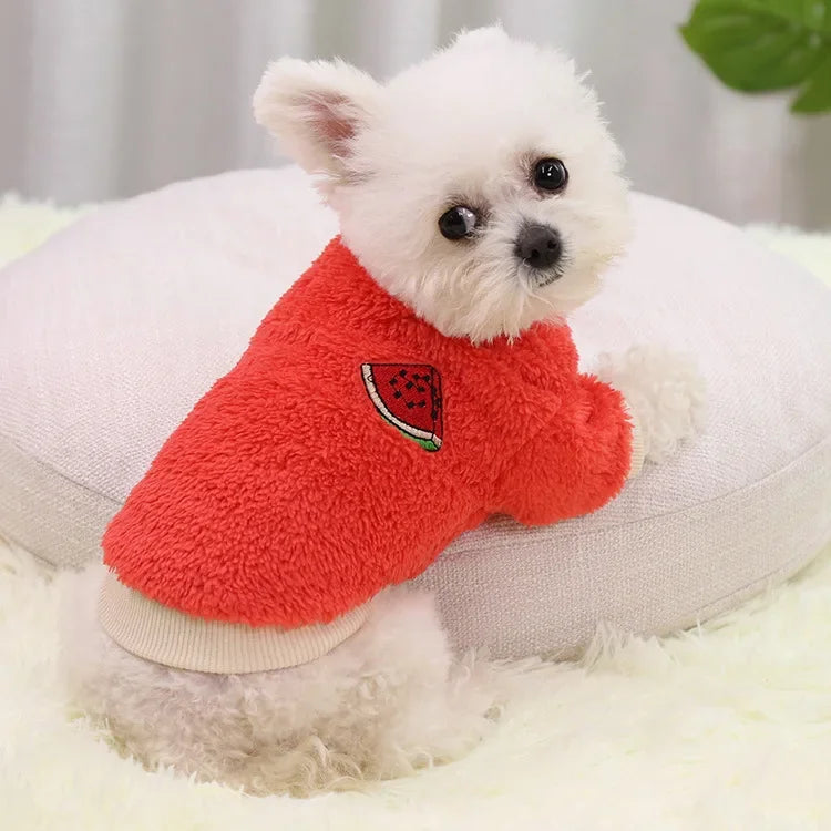 Warm Dog Hoodie for Small Dogs