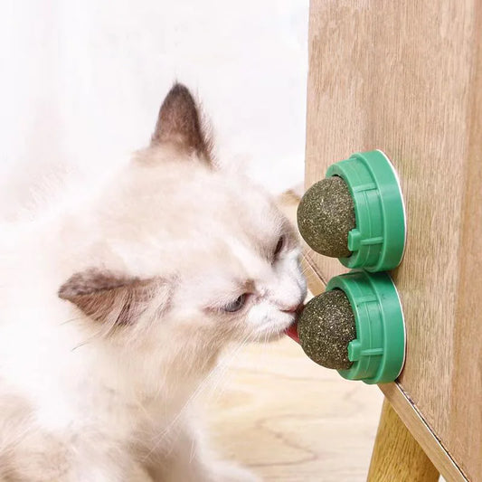 Natural Catnip Wall Stick-on Ball Toy